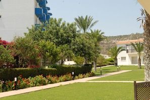 A well-maintained garden with a pathway, palm trees, and a building with blue accents.