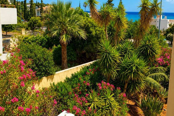 Apartment, 2 Bedrooms | Garden view