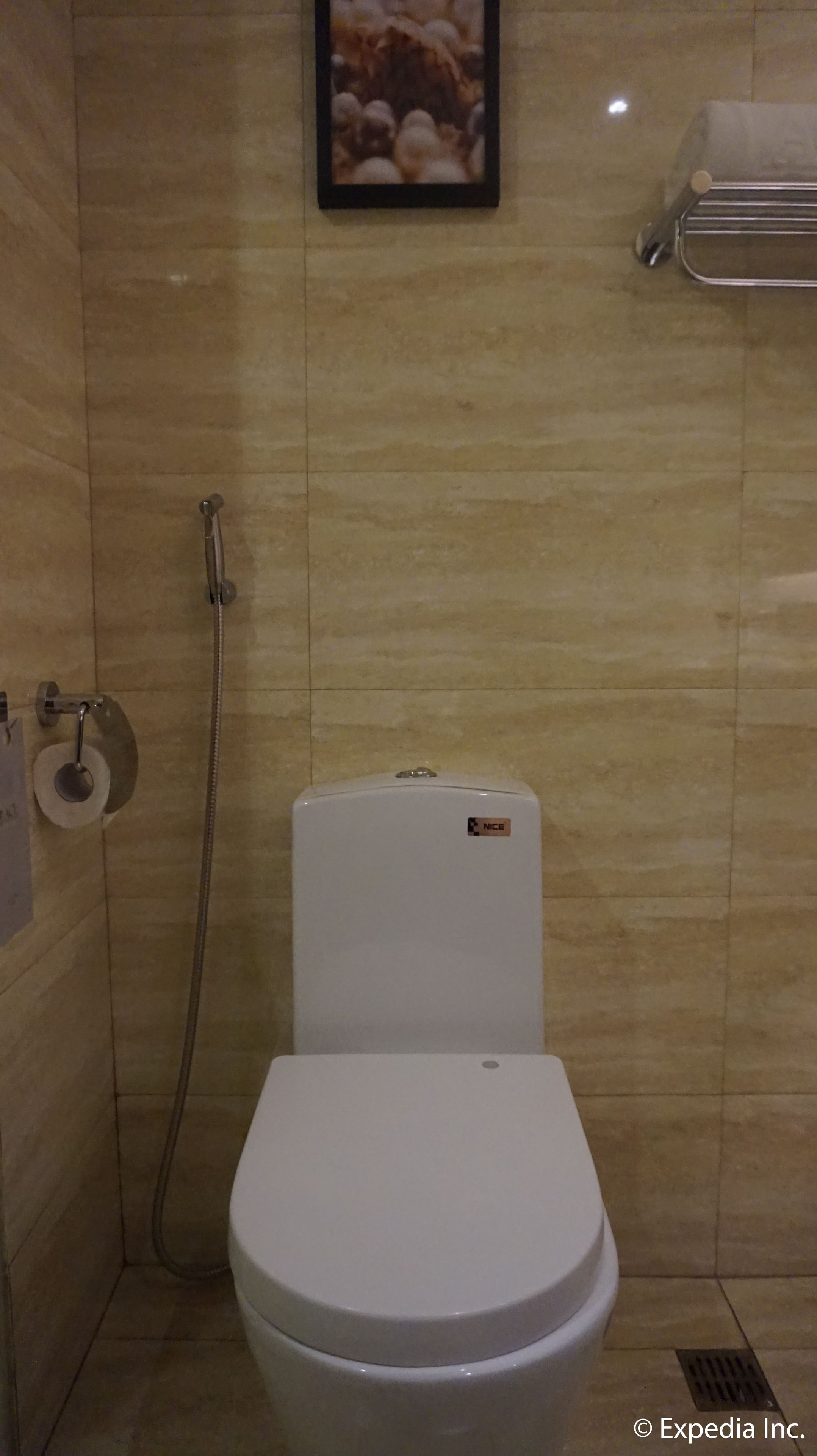 Un baño con inodoro, ducha y toallero.