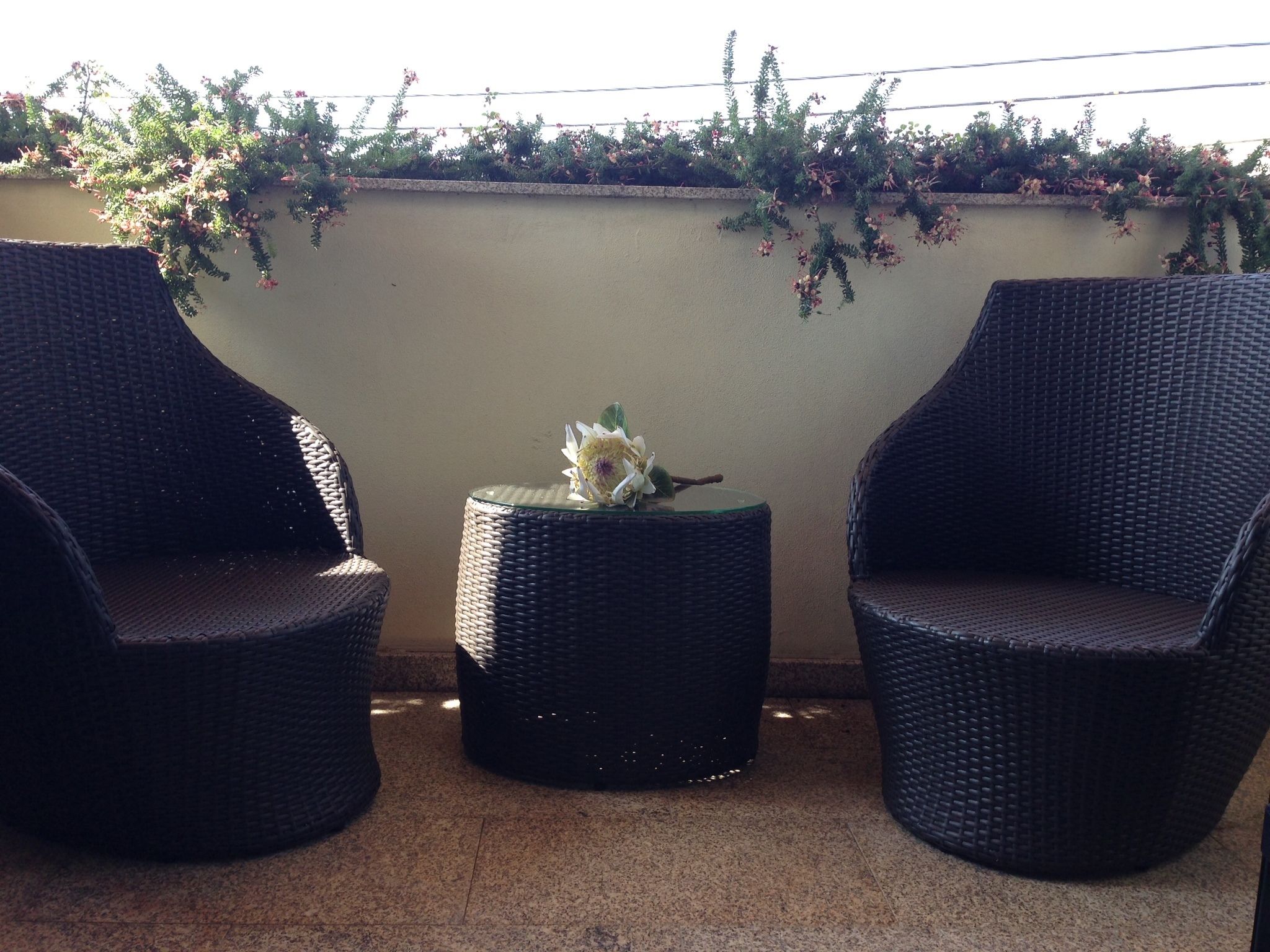 Photo - Villa d'Arcos