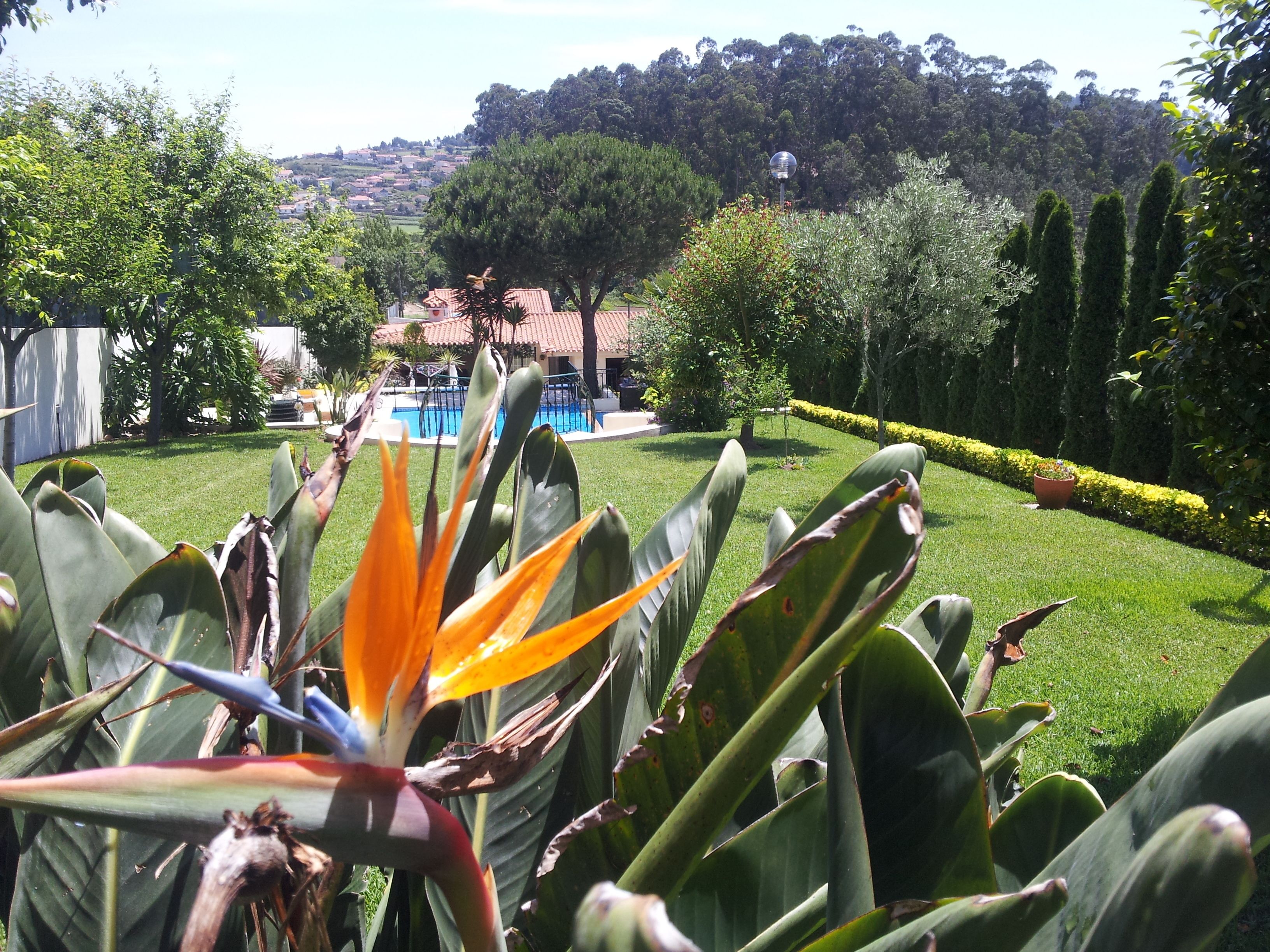 Εξωτερικός χώρος καταλύματος