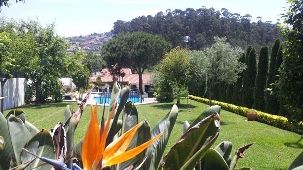 Ein gepflegter Garten mit Schwimmbecken, umgeben von ordentlich geschnittenen Hecken und verschiedenen Pflanzen.