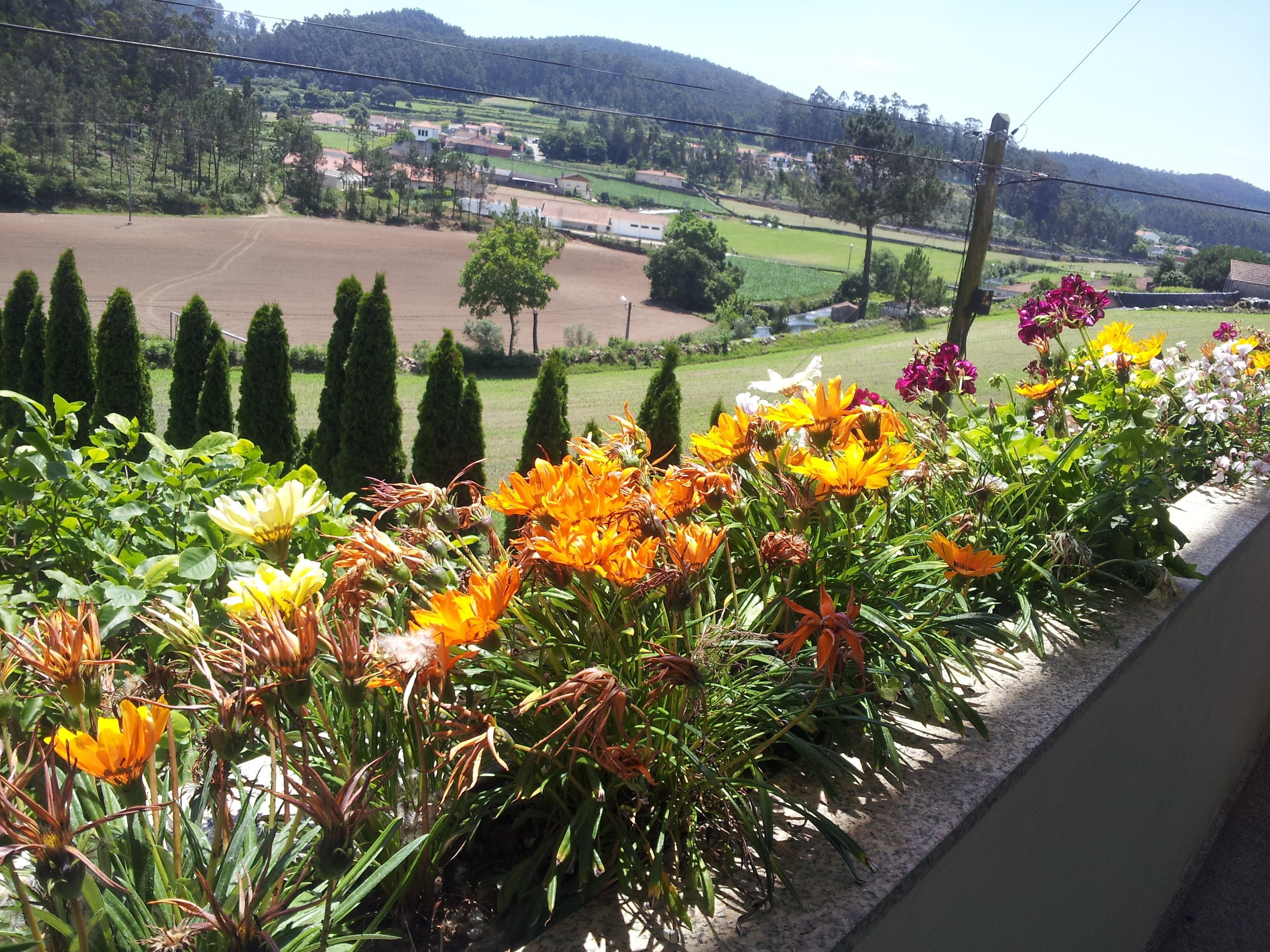 Photo - Villa d'Arcos