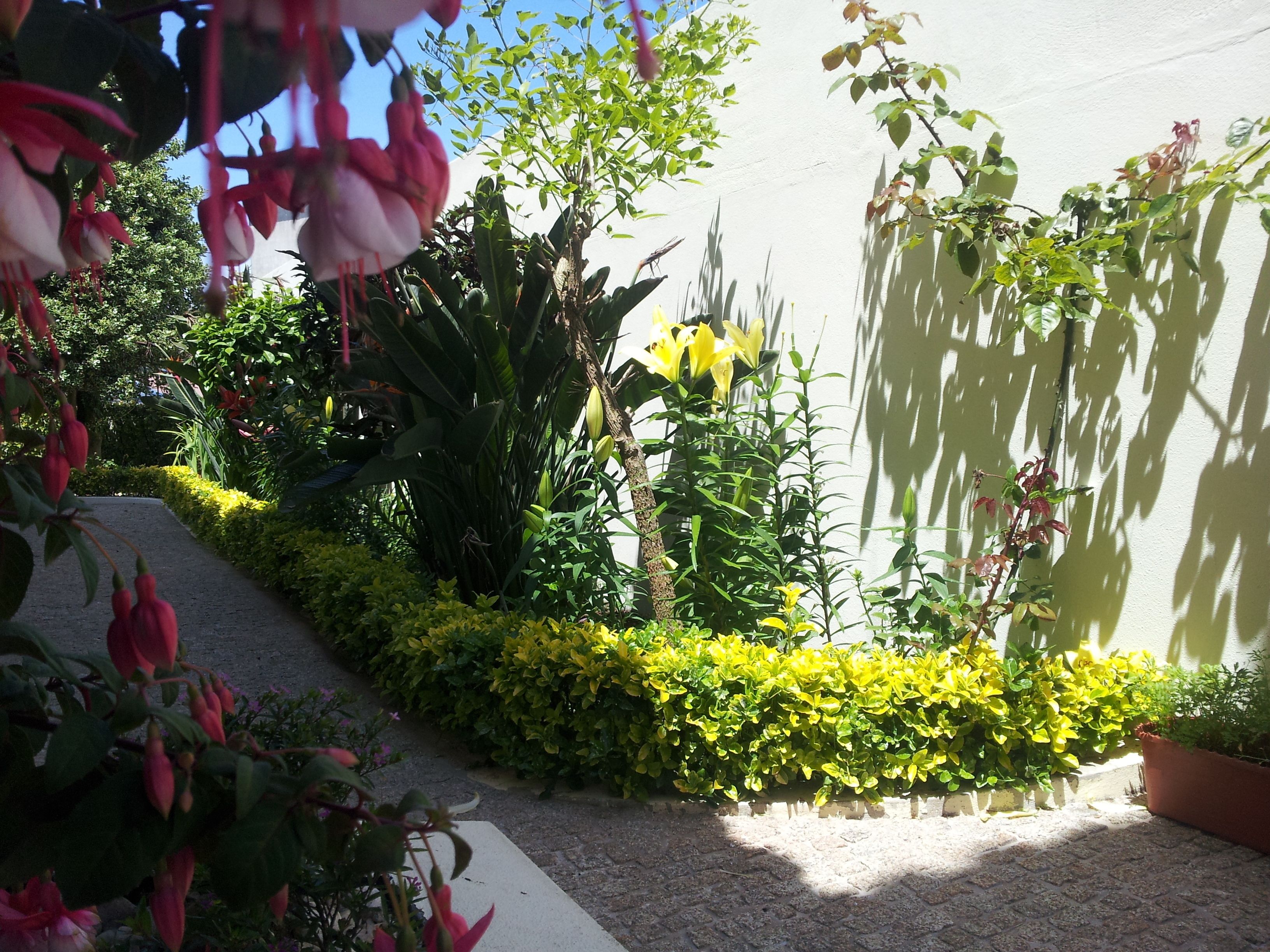 A garden with various plants and flowers, a paved walkway, and a wall.