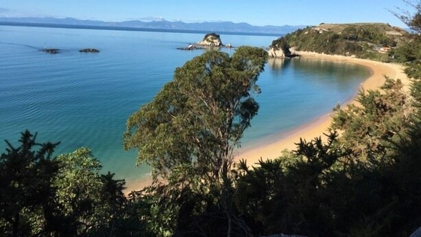 Un paisaje costero con una playa arenosa, aguas tranquilas y abundante vegetación.