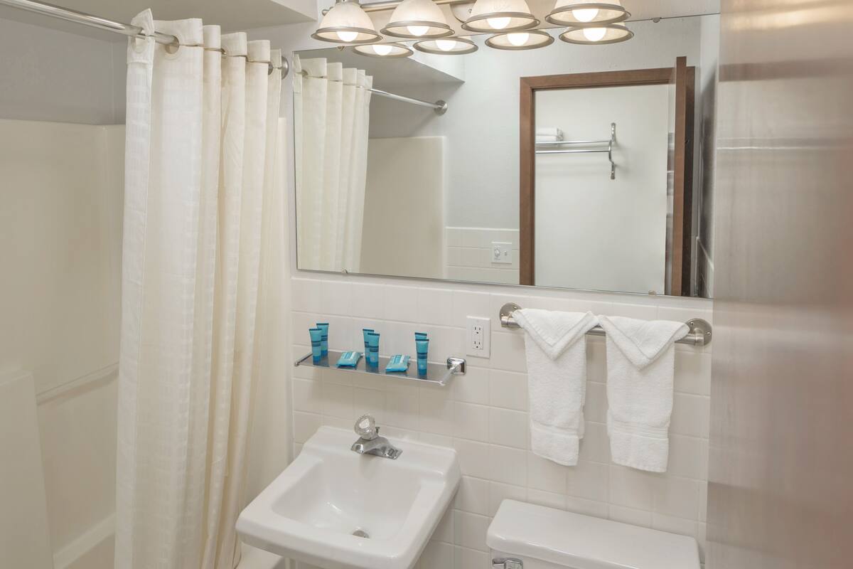 combined shower/bathtub, free toiletries, hair dryer, towels
