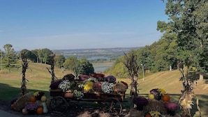Ein malerischer Ausblick mit einem Wagen voller Blumen und Kürbissen, umgeben von Bäumen und einer weitläufigen Landschaft im Hintergrund.