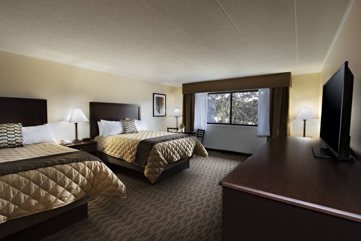 premium room, 2 queen beds | desk, iron/ironing board, cots/infant beds, free wifi