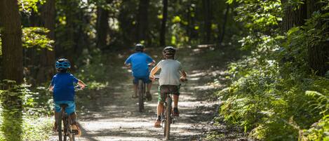 Un sendero forestal con ciclistas.