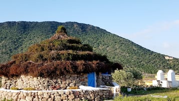 Esterni