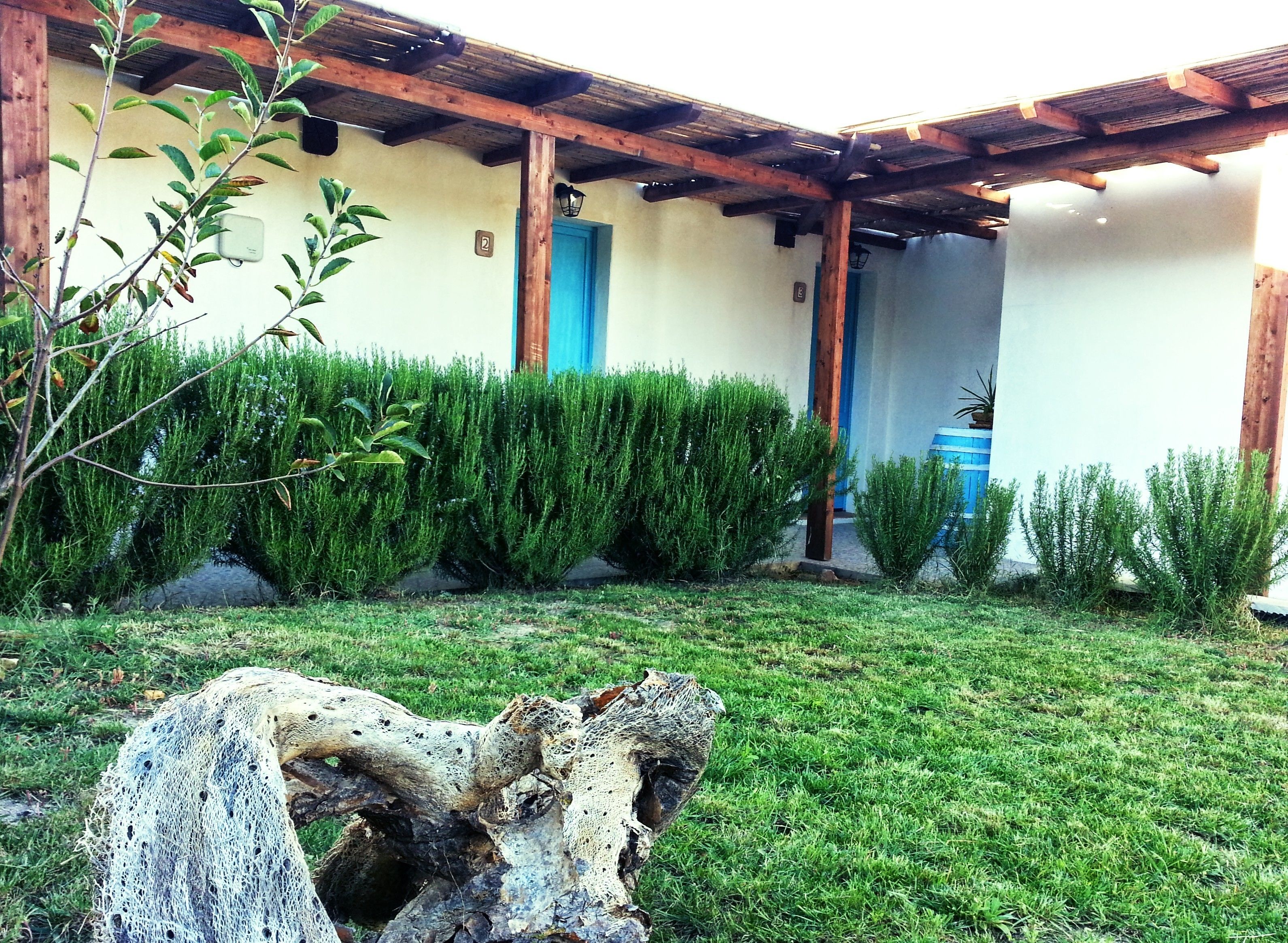 A building with a wooden pergola, a blue door, and a well-maintained garden with various shrubs and a large tree stump.
