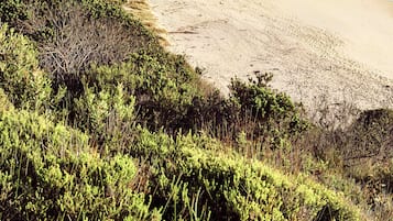 Beach nearby, white sand