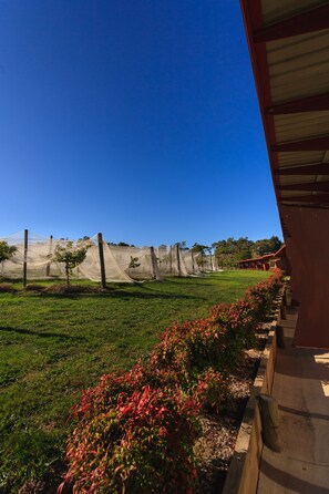 Courtyard - De'Vine Escape (Dixons Creek)