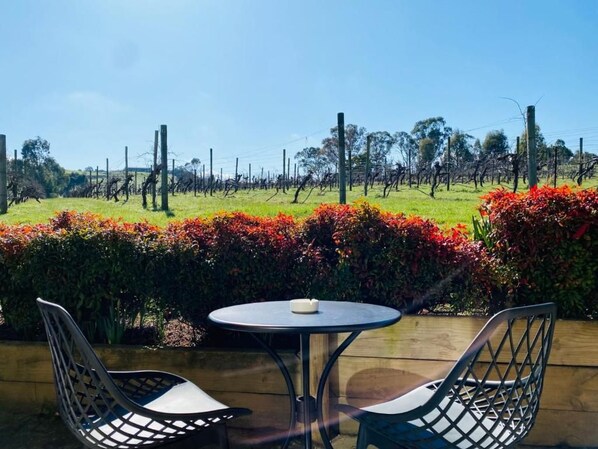 An outdoor seating area with two chairs and a table, overlooking a vineyard.