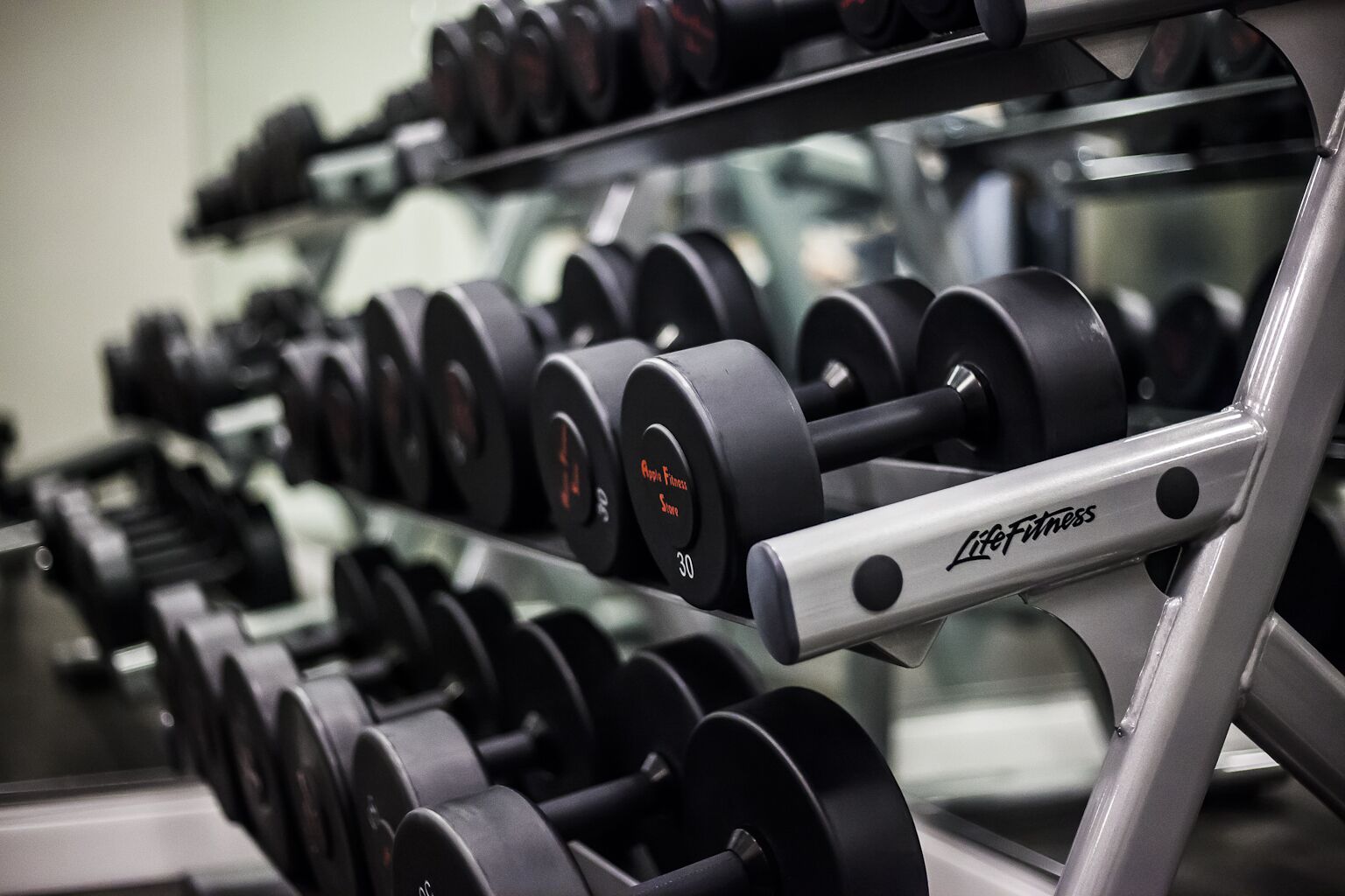 A rack of dumbbells with weights ranging from 2 to 30 pounds, arranged in ascending order.