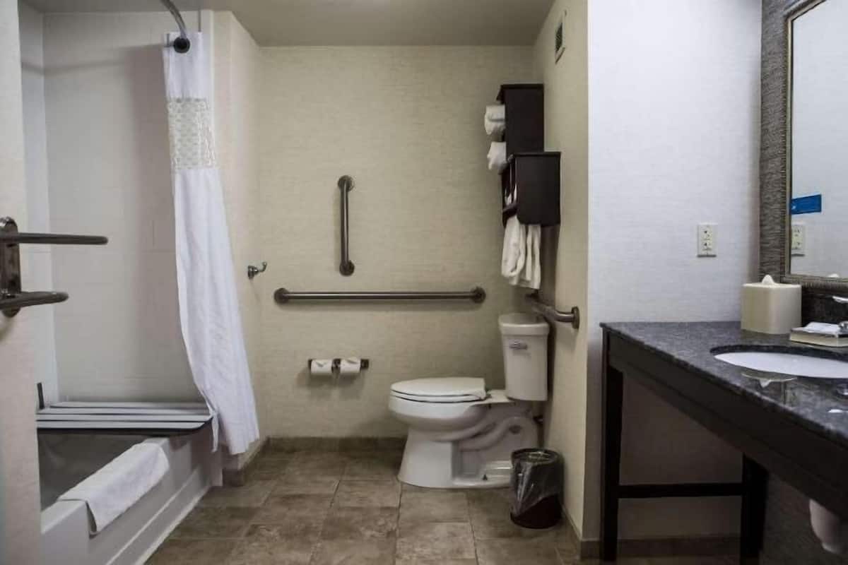 Bathroom | Combined shower/bathtub, free toiletries, towels