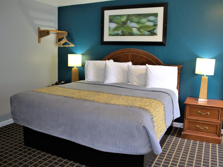 Blackout curtains, iron/ironing board, free WiFi, bed sheets