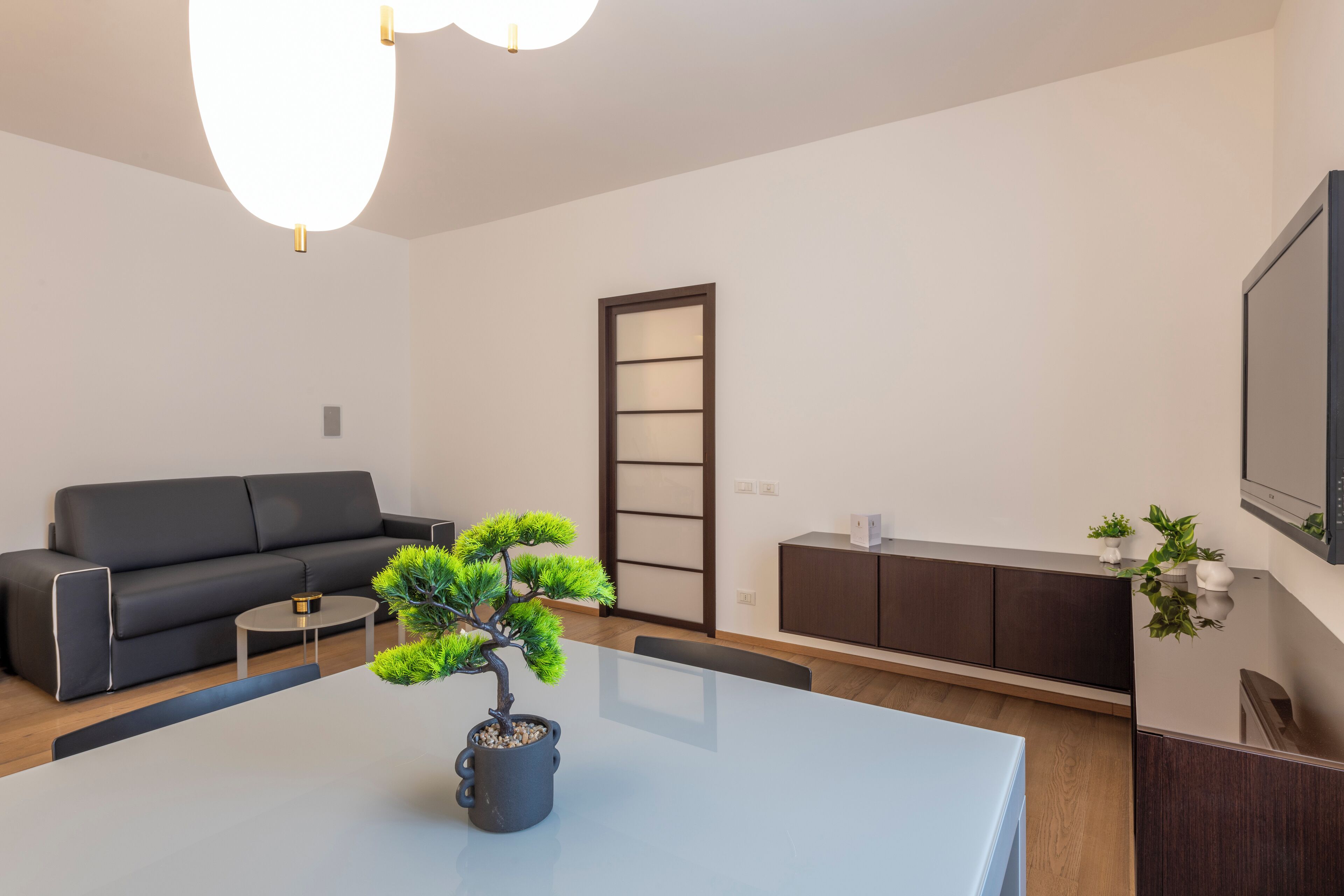 A modern living room with a sofa, a coffee table, a bonsai tree, a TV, and a cabinet.