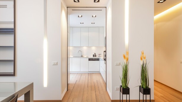 Een moderne keuken met witte kasten, een vaatwasser en een aanrecht met een spoelbak. Twee potplanten met lange groene bladeren en oranje bloemen.