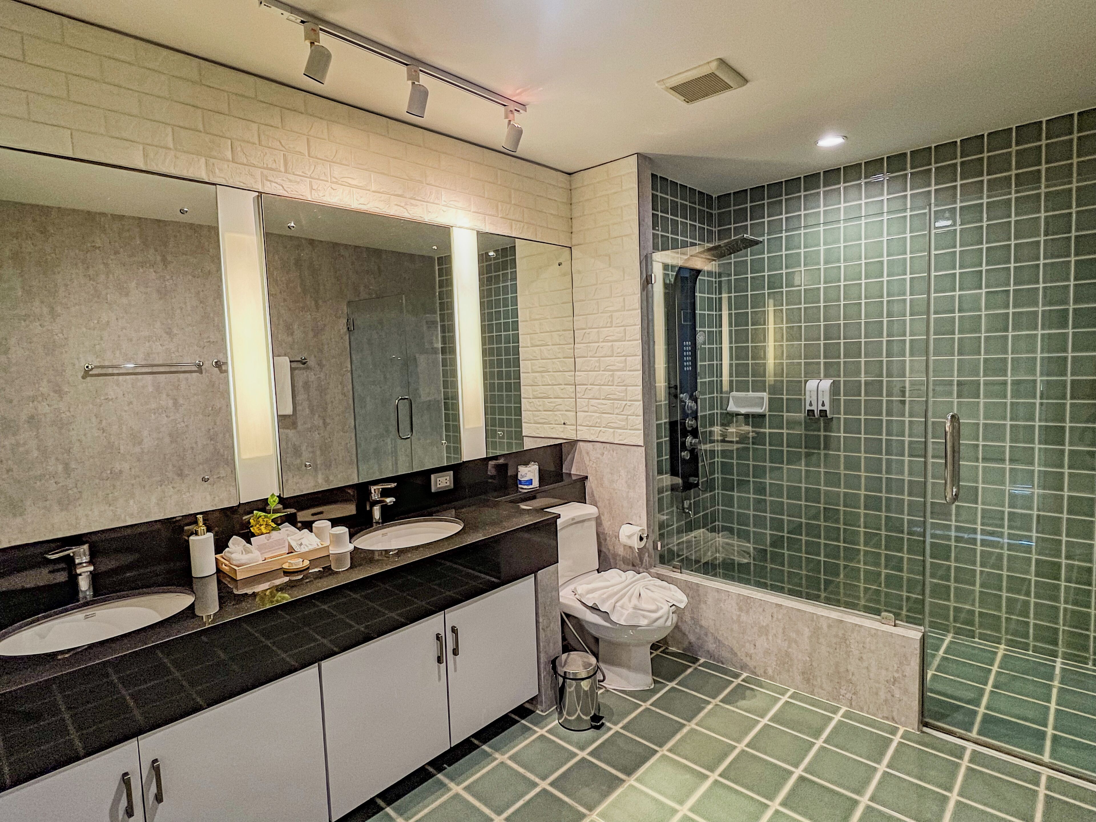 A modern bathroom with a large mirror, two sinks, a toilet, and a shower area.
