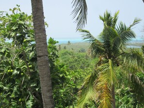 Standard Double Room | View from room