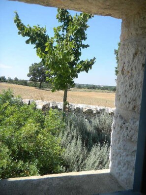 Deluxe-Suite (Trullo) | Blick auf den Innenhof