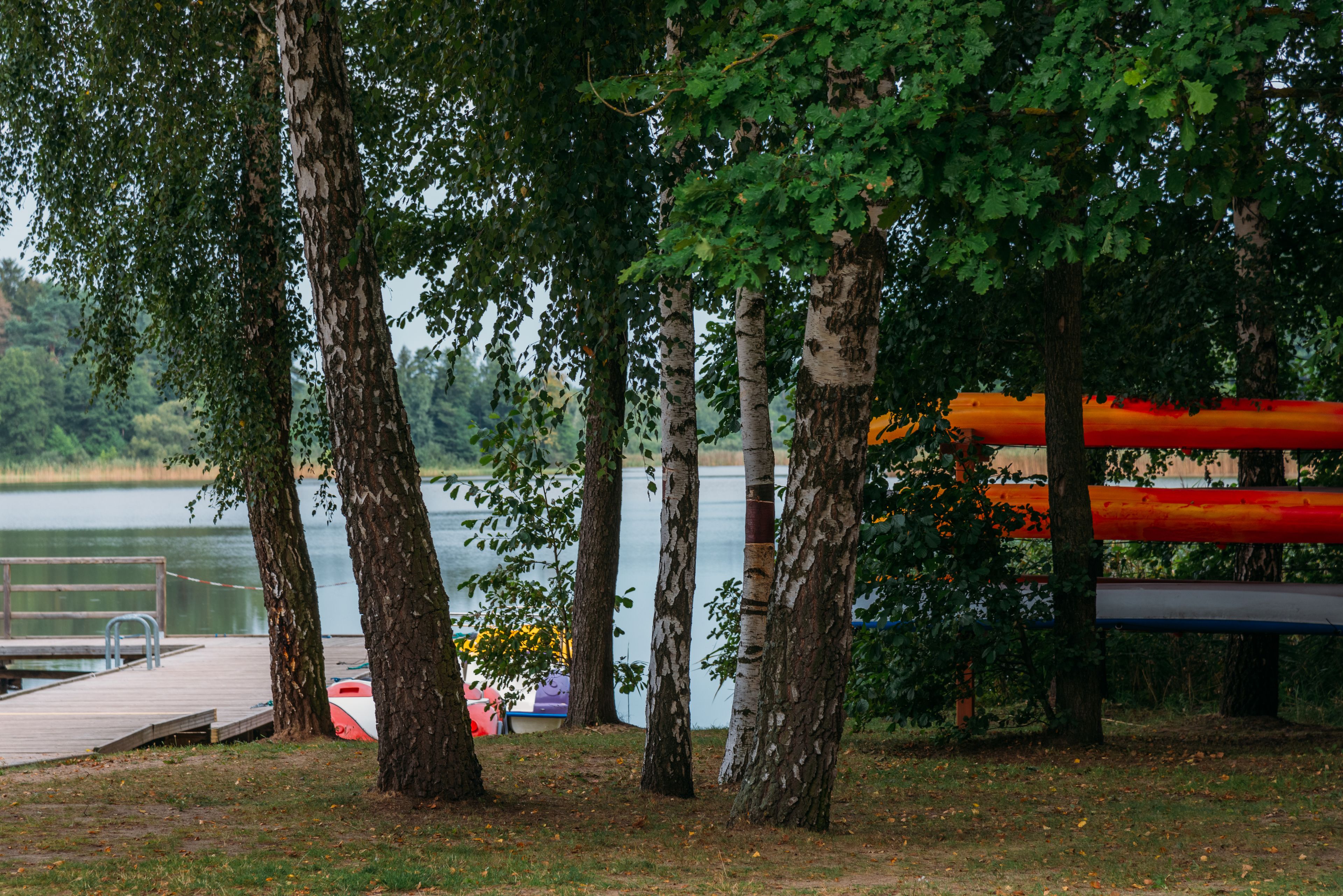 Un parque junto al lago con un muelle de madera, árboles y un colorido parque infantil.