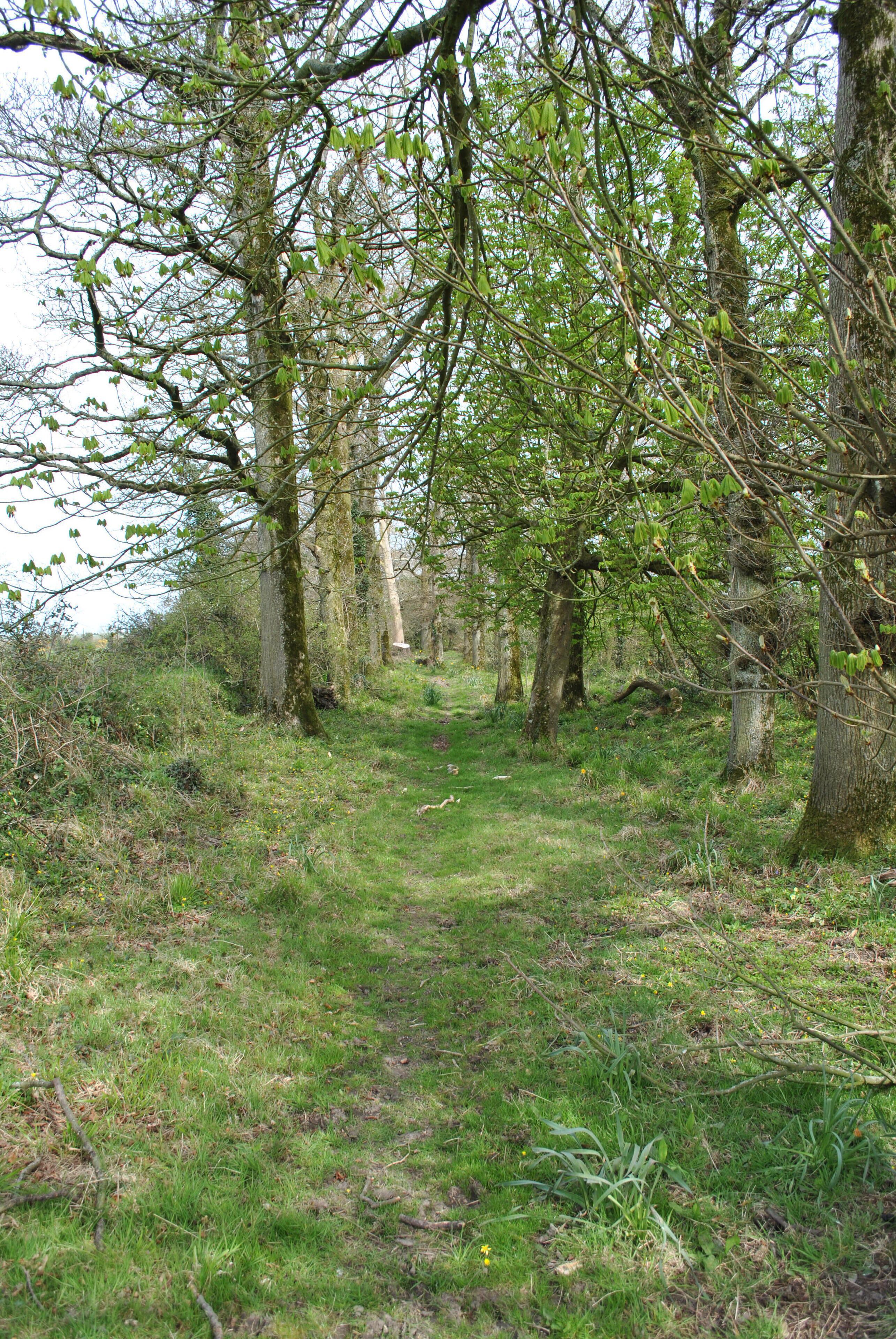 Photo - Killiane Castle Country House & Farm