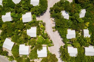 Vista aérea de una zona residencial con varias casas rodeadas de abundante vegetación.