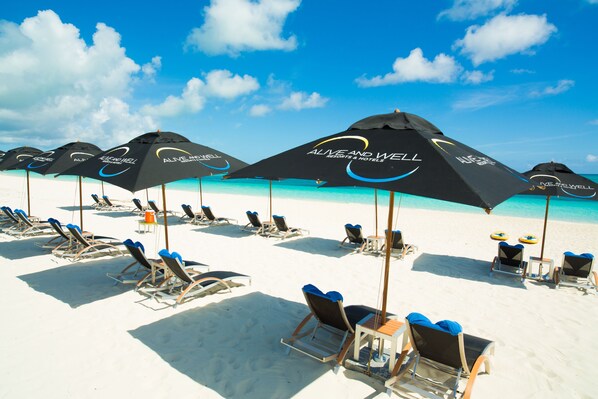 A beach with rows of sun loungers under umbrellas, a clear blue sky, and turquoise water. - Kokomo Botanical Resort - Caribbean Family Cottages (Providenciales)