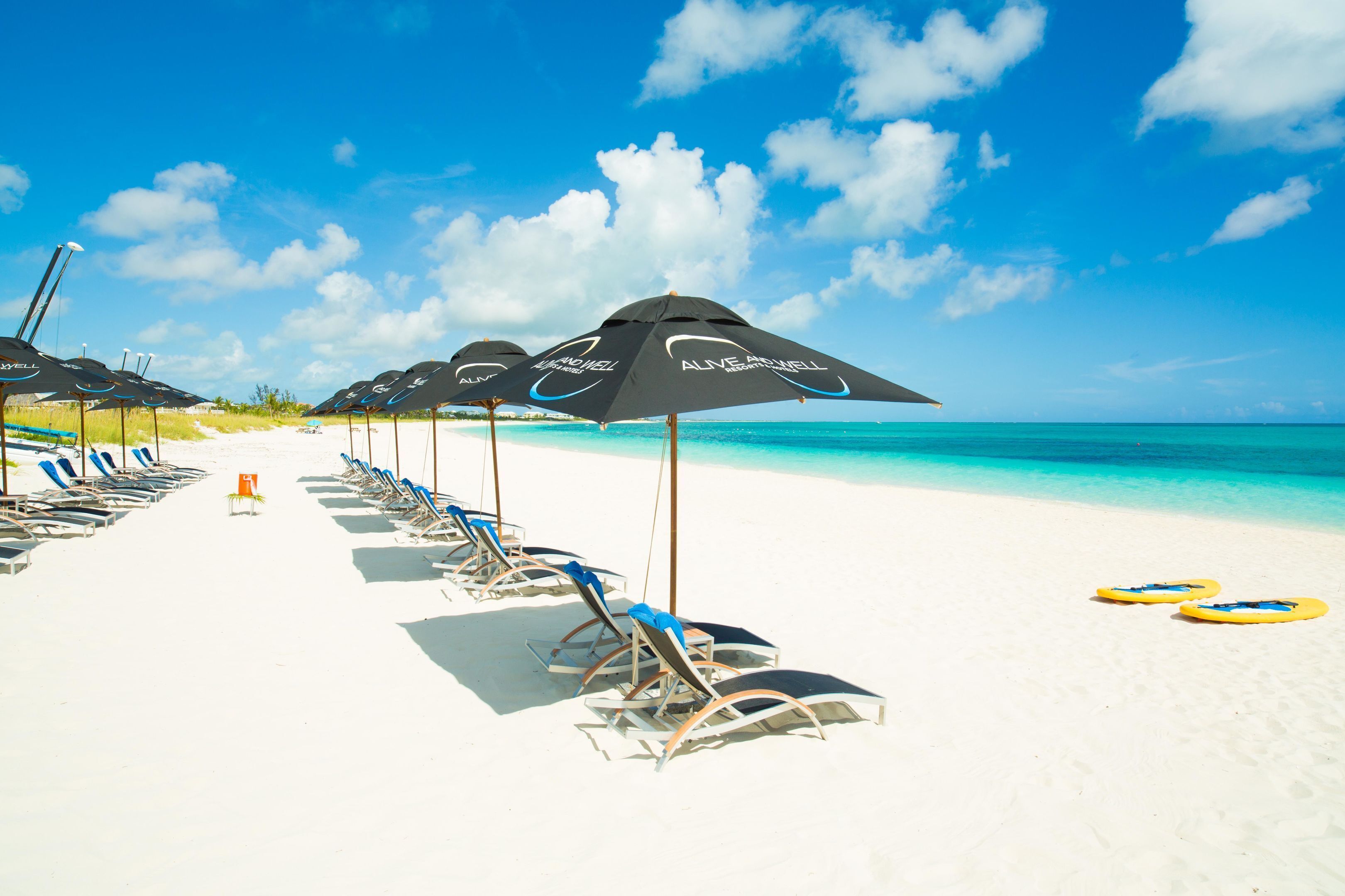 Een strand met rijen ligbedden en parasols, een heldere blauwe lucht en turquoise water.