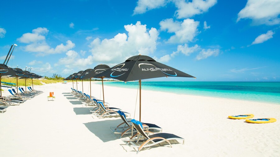 Kokomo Botanical Resort - Caribbean Family Cottages