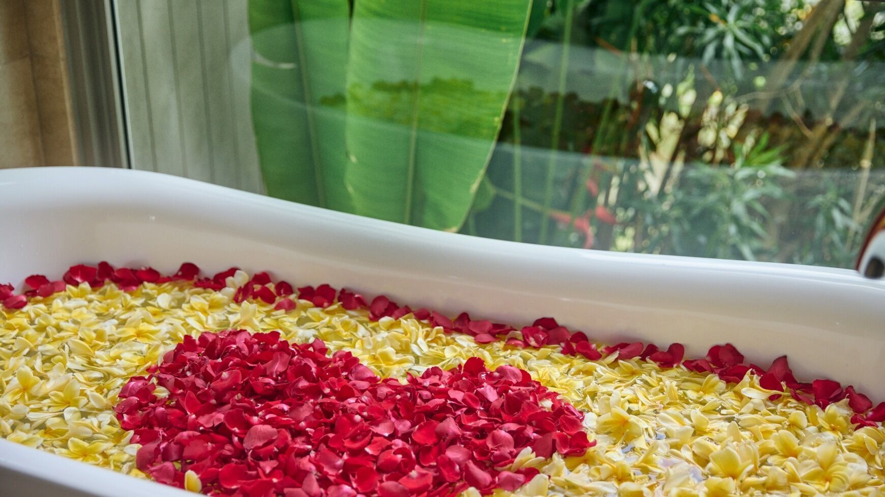 A white rectangular container filled with water and flower petals.