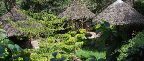 Cabanas com telhados de palha em meio a vegetação exuberante, indicando um ambiente natural e ao ar livre.