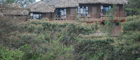 A row of thatched-roof cottages with balconies, surrounded by dense vegetation.