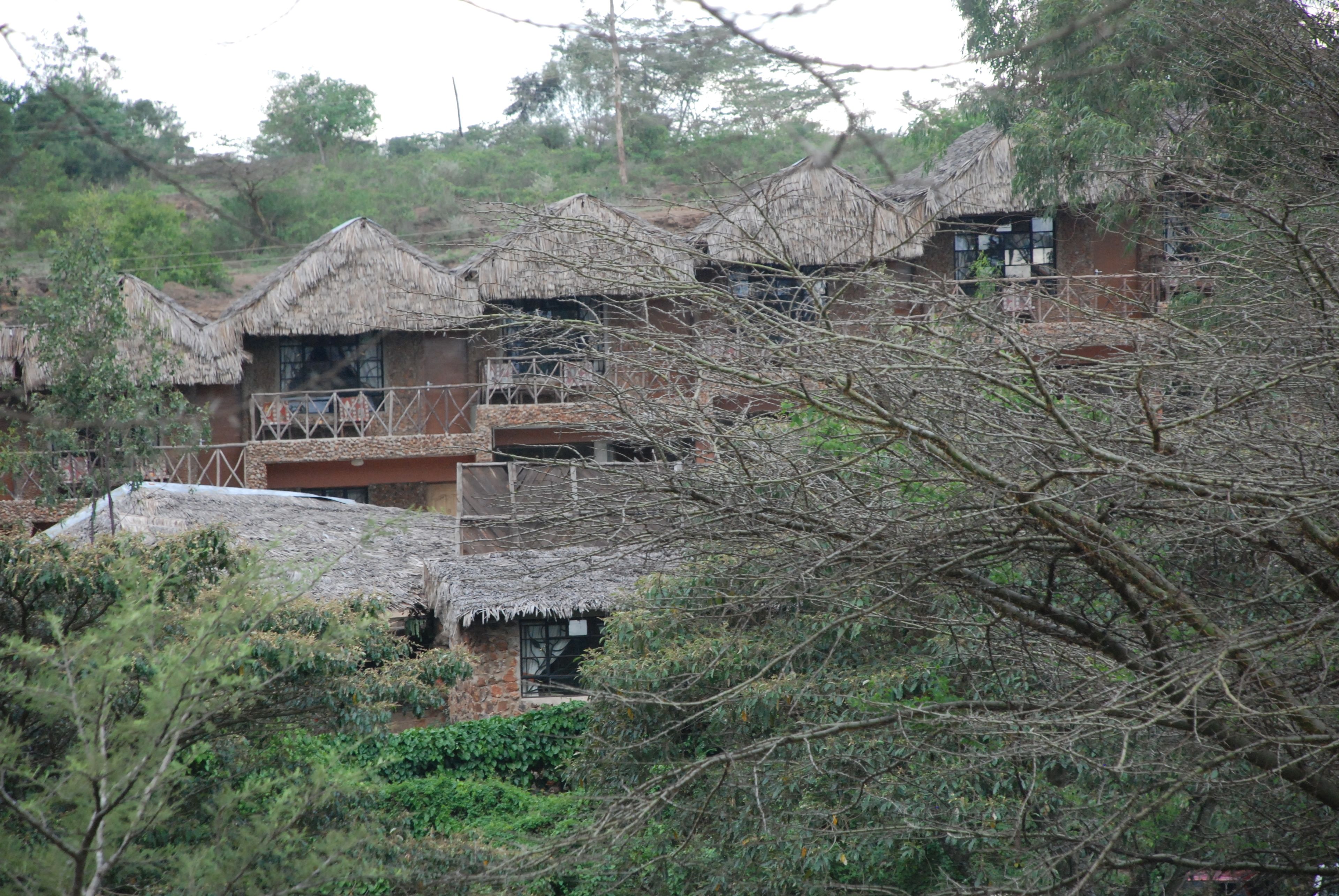 A cluster of thatched-roof houses with visible windows and balconies, surrounded by dense greenery.