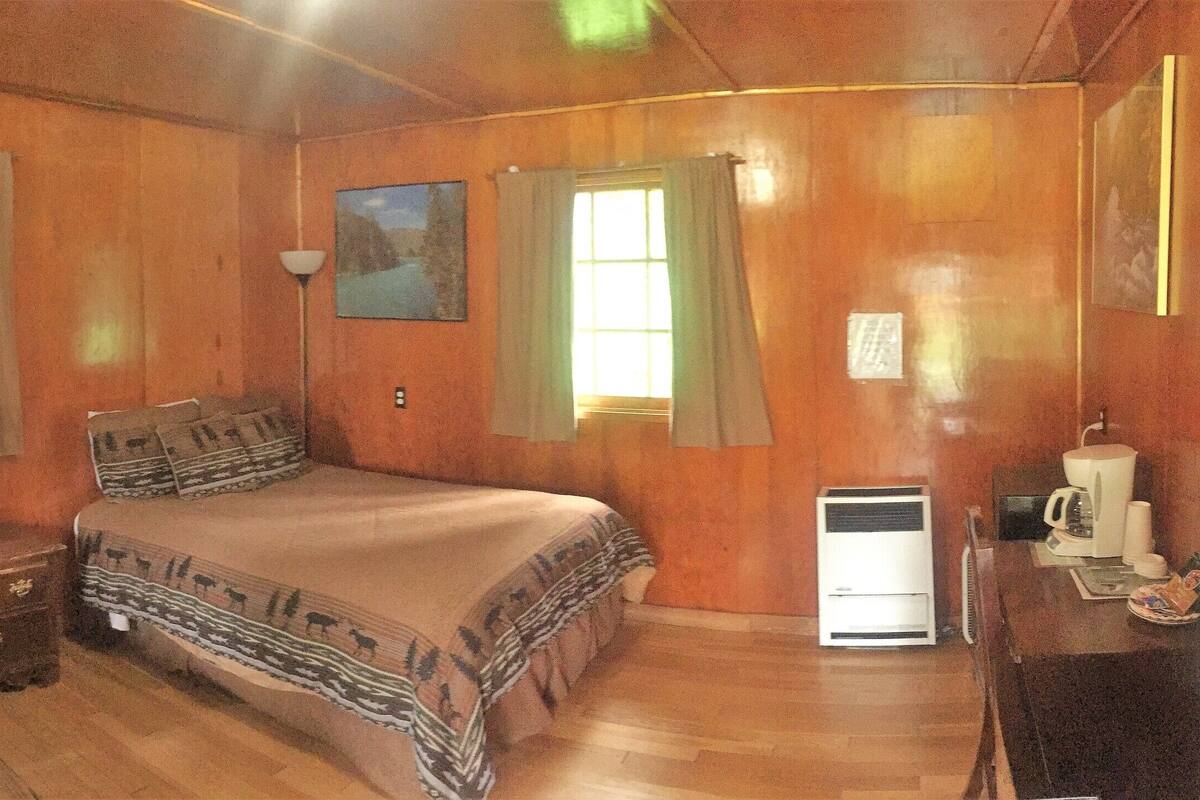 Une chambre avec deux lits, un bureau avec une chaise, une lampe et un tableau au mur.