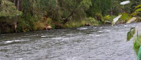 A river with flowing water surrounded by dense greenery and trees.