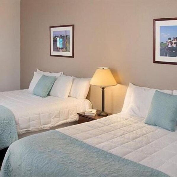 Habitación de hotel con dos camas, una mesita de noche, una lámpara y dos cuadros en la pared.