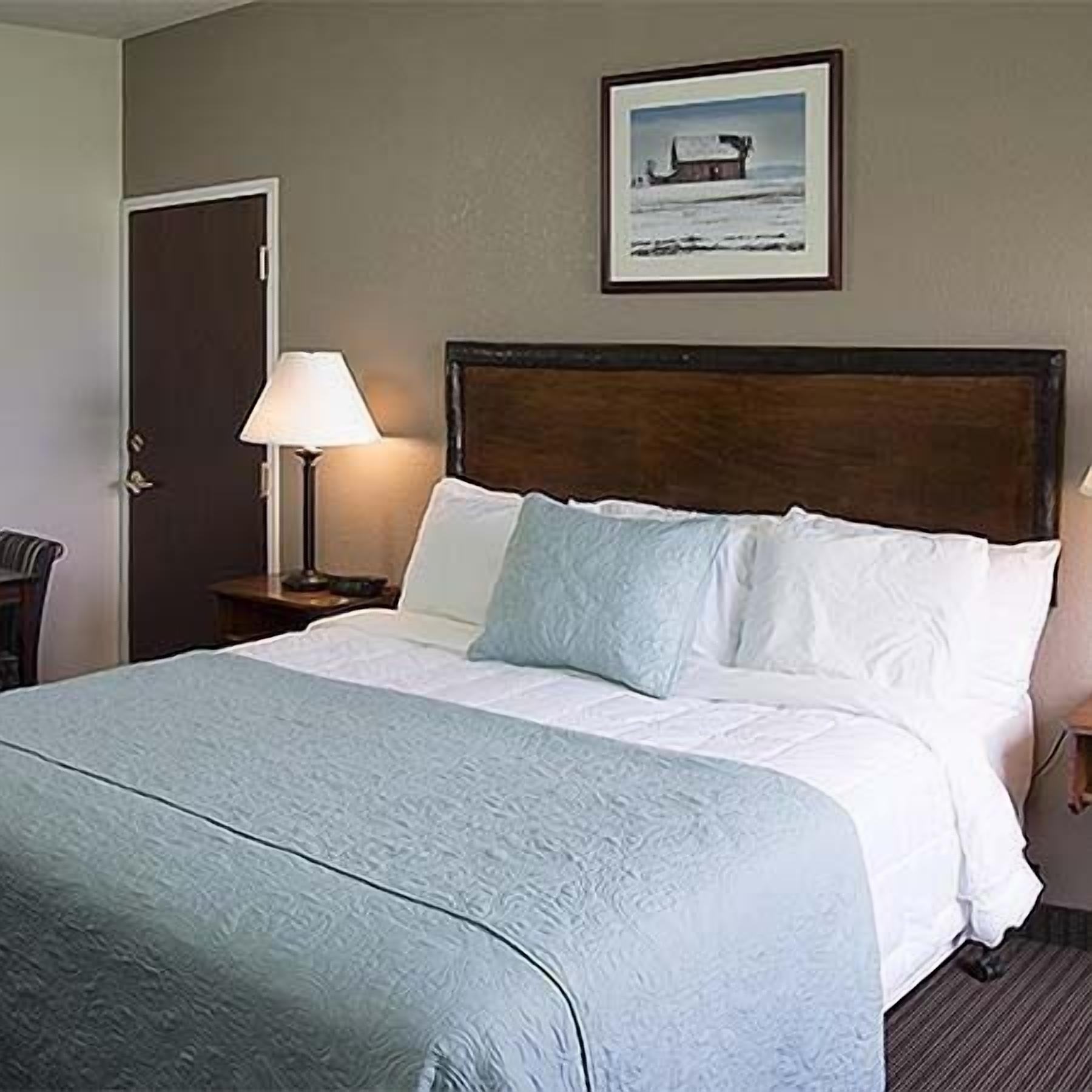 suite, non smoking | free wifi, bed sheets, alarm clocks