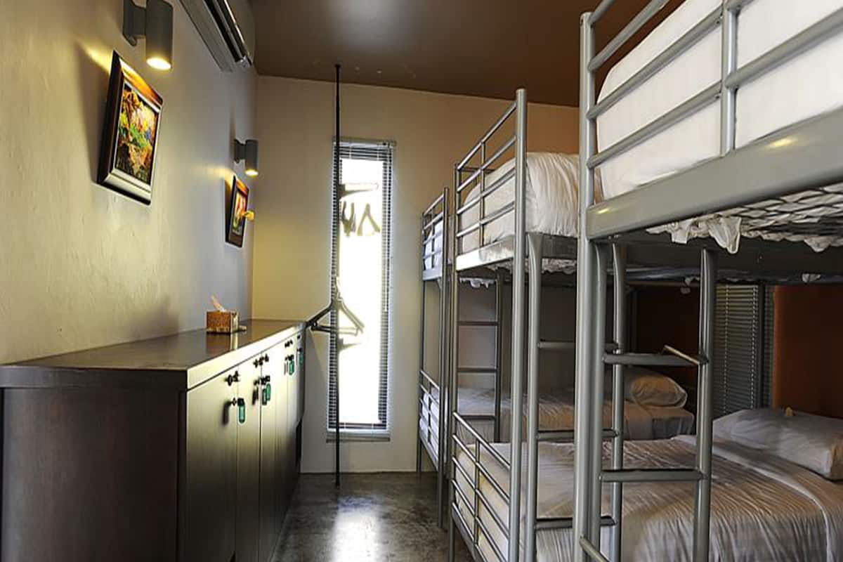 A dormitory room with bunk beds, a desk, and a window with blinds.