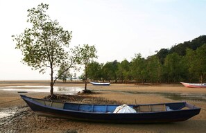 Lake - The Village House (Kuching)