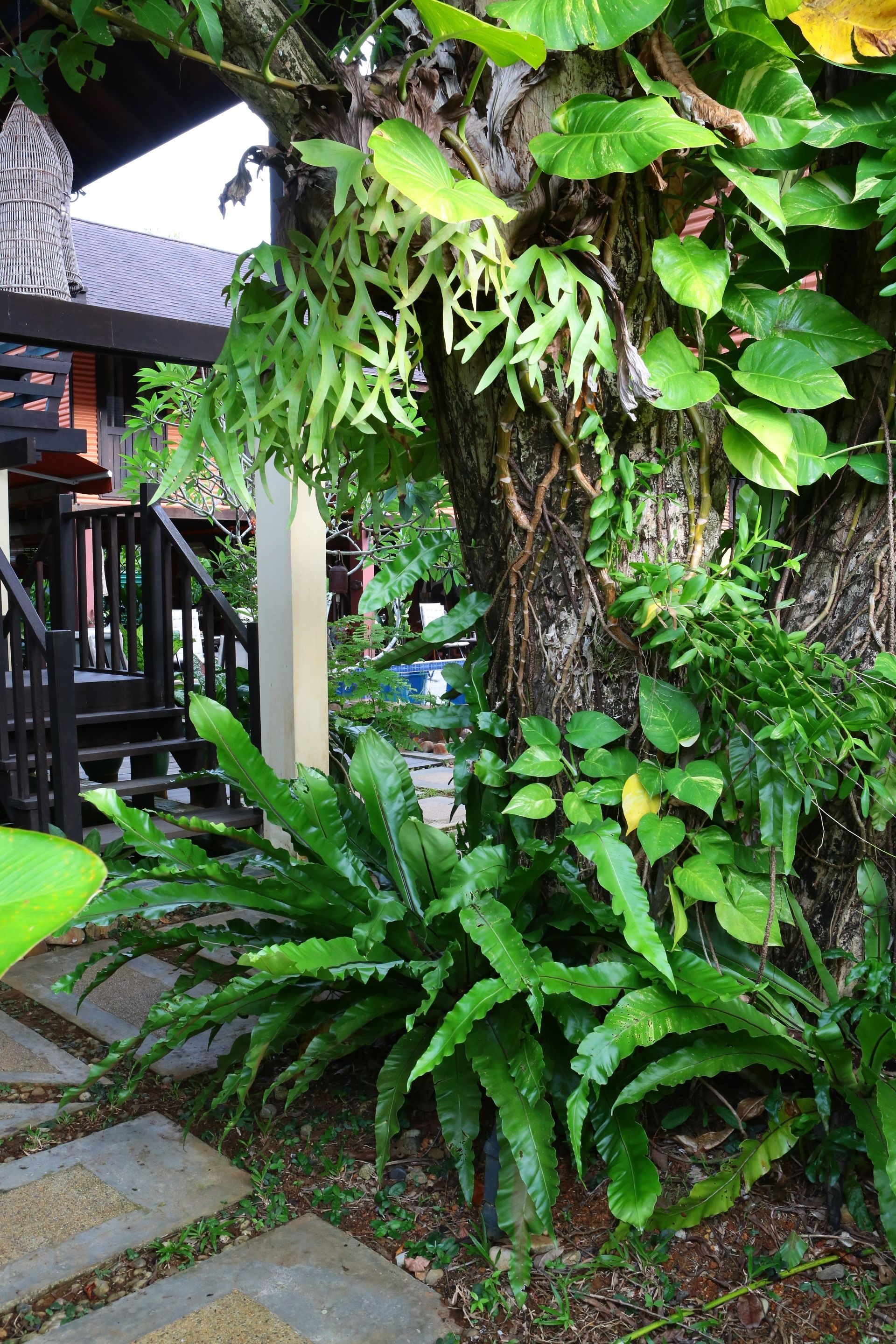 Pintu masuk interior