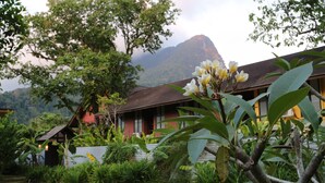 A traditional building with a red roof, surrounded by lush greenery and a mountain in the background. - The Village House (Kuching)