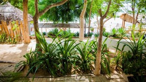 A tropical garden with thatched-roof structures, potted plants, and a paved walkway. - Princesse du Lagon (Ifaty)