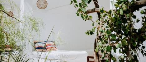 A white room with a bed, a hanging basket, and a plant.