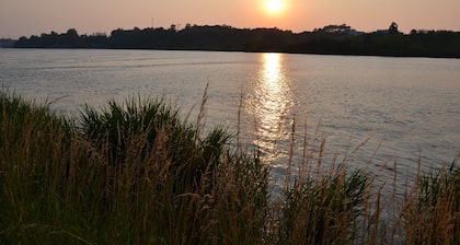 Adonis HĂŽtel Bayonne
