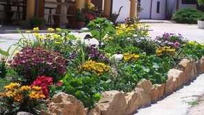 Courtyard - Agriturismo Cuile De Molino (Porto Torres)
