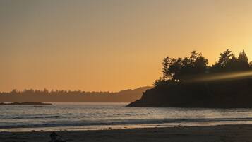 A beach with a person lying on the sand, a rocky shoreline, and trees in the background.