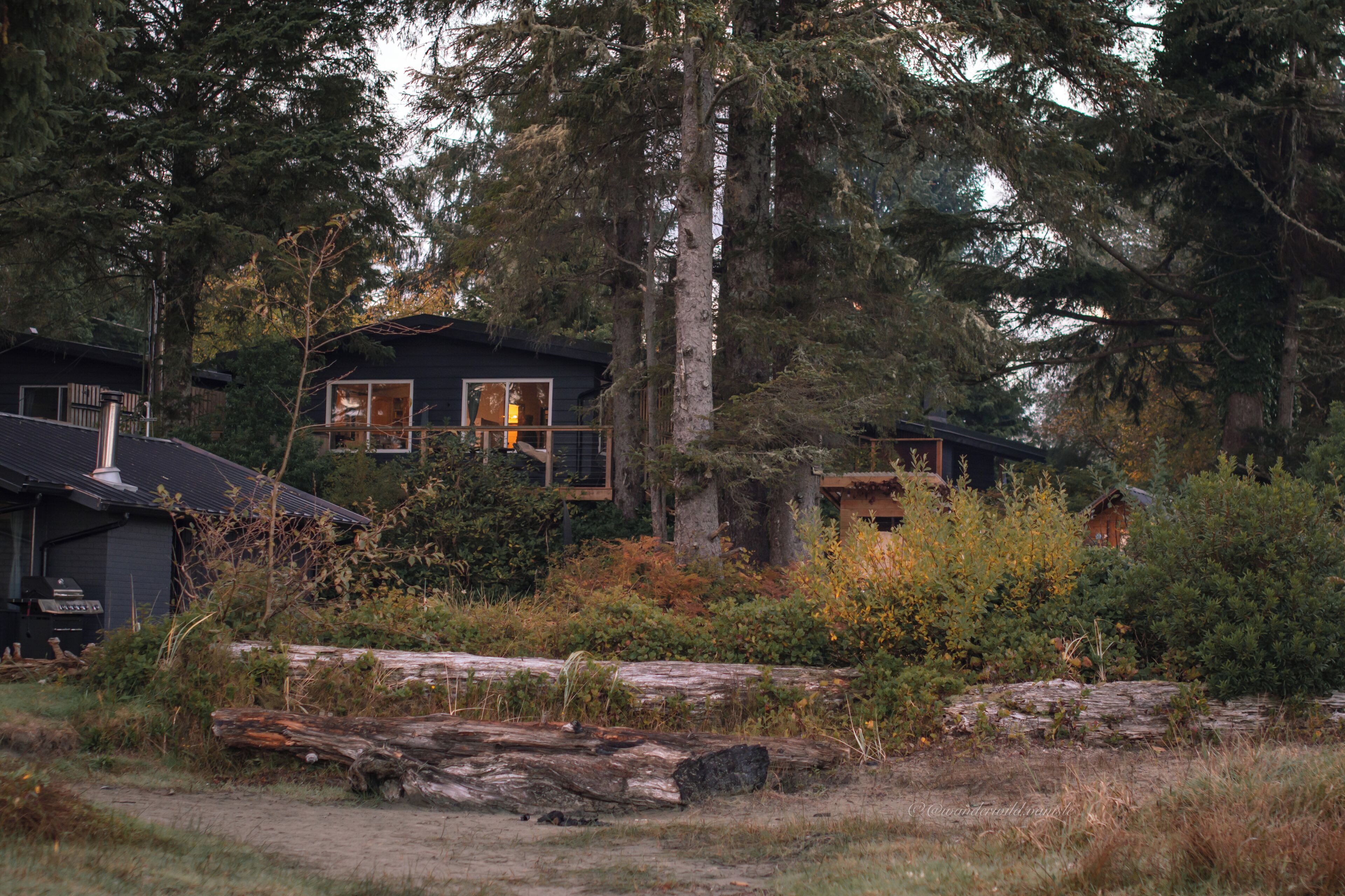 A cabin with a deck, surrounded by dense forest and a fallen tree in the foreground.